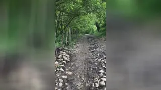 طبیعت زیبای پیرانشهر - تفرجگاه آبخورده