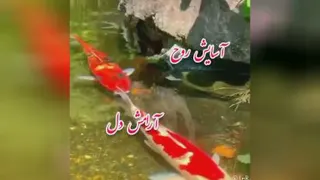 ایزد قدرت