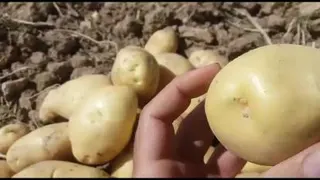 شعبه2_همدان_اول بهار_ جنب ایران خودرو_ بازرگانی امیر سربازی 09036951254