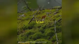 دلنوشته خدایا مراقبم باش