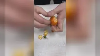 کلیپ خطر ناک