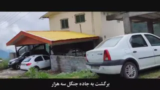جنگل دوهزار و سه هزار تنکابن