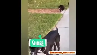 ناموس دوبله😂