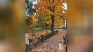 پاییز