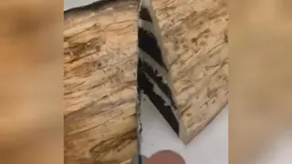 برش کیک های عجیب غریب🤔😍