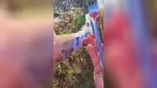 خطای دید 😑😑