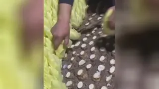 جالب ودیدنی