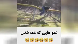 عموهایی که عمه شدن