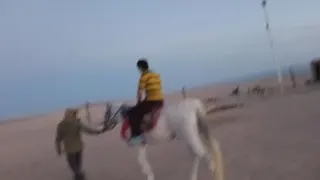 کمپ بیابان گردی