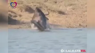 انگیزشی