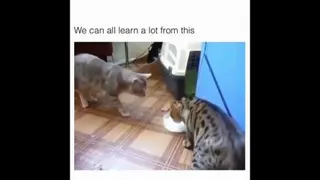 مهربانی😍😍