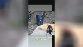تلافی همه ی سالها