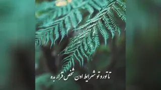 قضاوت ممنوع