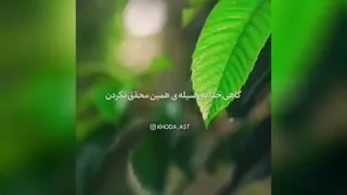 خدای مهربان