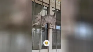 کلیپ طنز و باحال