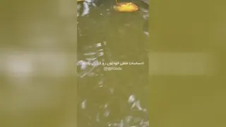 منتظر اتفاق خوب باش😘😉💚