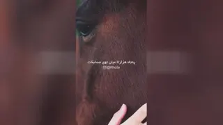 خدای روزای سخت روزای خوب هم هست😉😊