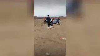 آموزشی