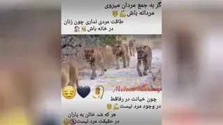 کارگروهی