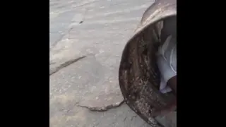 طنز