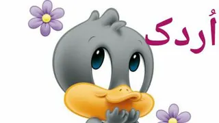 اُردک