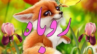 روباه