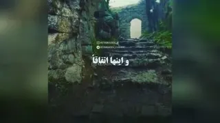 اثر مرکب