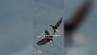 تجربه