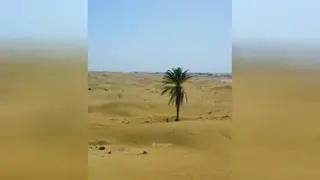 زیبا ودیدنی 😍😘😙😚😙