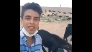 عجب صدایی داره گوش کنید