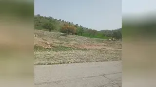 کلیپ زیبا
