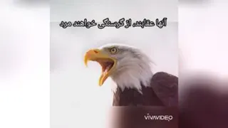 بهترین خودت باش