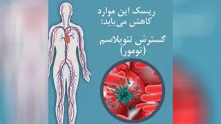 تغذیه مفید