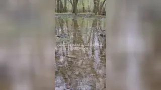 اعتماد بخدا