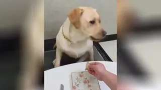 نمخام!!!