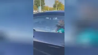 ماشین زیبا ترینکاو