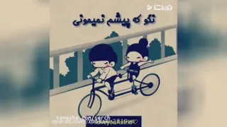 کلیپ عاشقانه محلات
