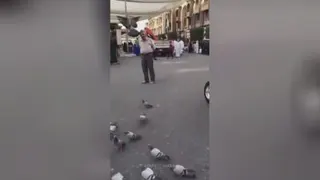 کربلا