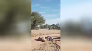 دلم برات تنگ شده