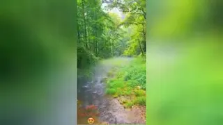 با تصاویر زیبا و موسیقی دلنشین کمی احساس آرامش کنید