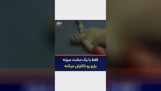 معرفی فیلم