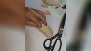 سرسوئیچی ببعی