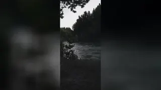 باغ بهادران