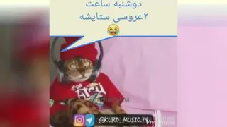 استوری