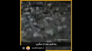 تلاش