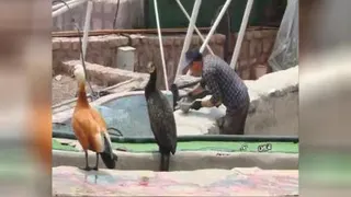 مردی که زندگی مهندسی خود در آمریکا را رها کرد و د