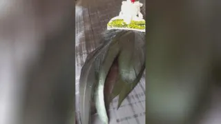 #جواهر دوزی_گل سینه