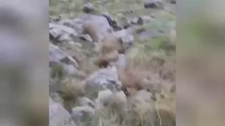 اهنگ وطبیعت