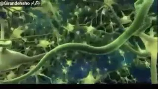 چگونه افکار روزمره باعث شکل گیری شخصیت میشود