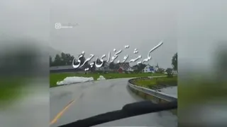 عاخ عجب چشمایی داری💞(دانوش)
